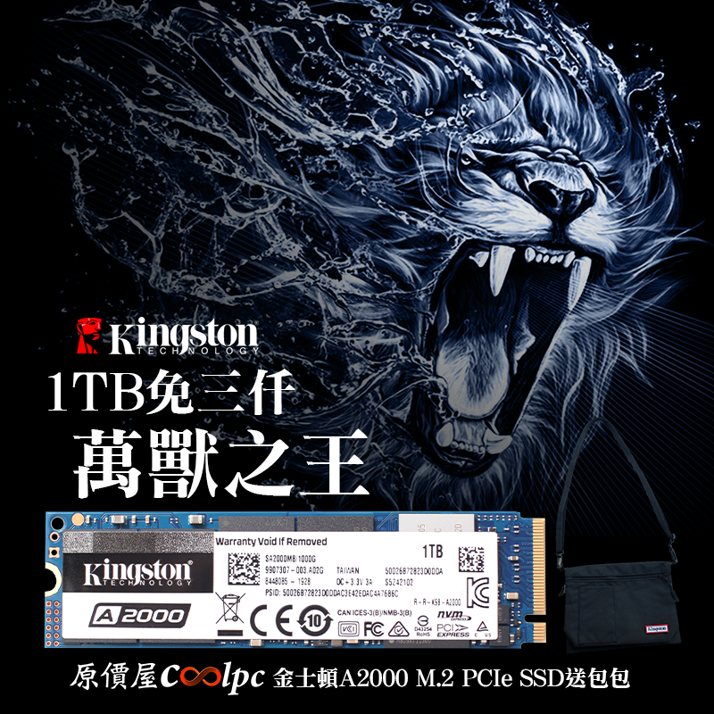 Kingston sale nvme a2000