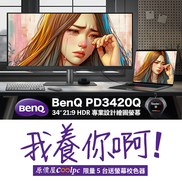 BENQ PD3420Q